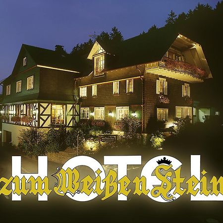 Hotel Zum Weissen Stein Kirchen  エクステリア 写真