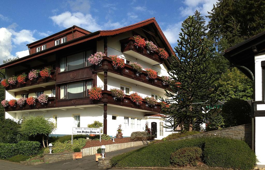 Hotel Zum Weissen Stein Kirchen  エクステリア 写真