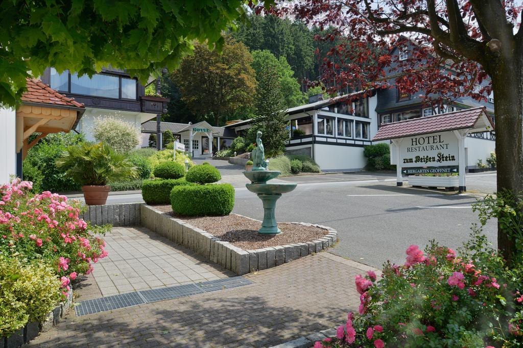 Hotel Zum Weissen Stein Kirchen  エクステリア 写真