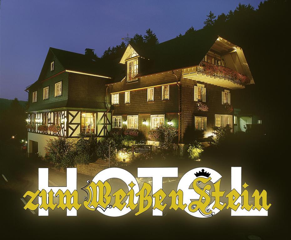 Hotel Zum Weissen Stein Kirchen  エクステリア 写真